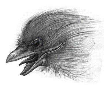 Monster 002